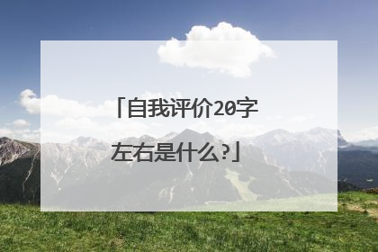 自我评价20字左右是什么?