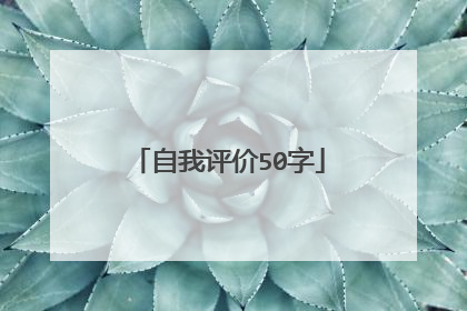 自我评价50字