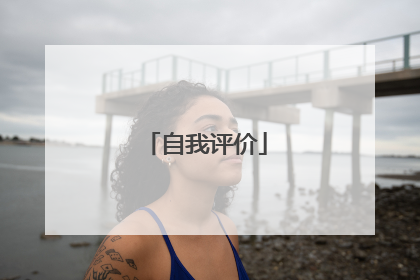 自我评价