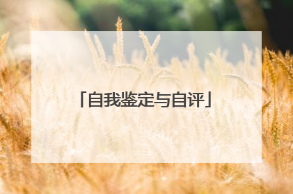 自我鉴定与自评