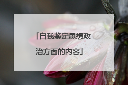 自我鉴定思想政治方面的内容