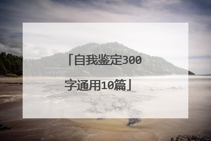 自我鉴定300字通用10篇