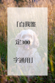 自我鉴定300字通用