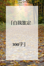 自我鉴定300字