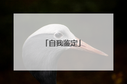 自我鉴定
