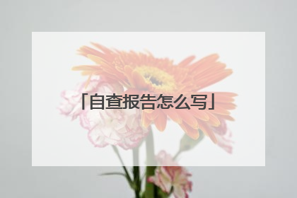 自查报告怎么写