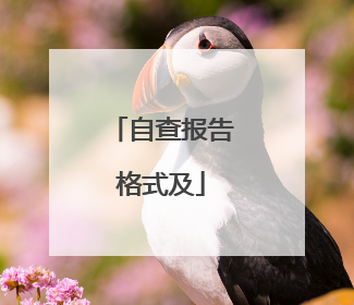 自查报告格式及