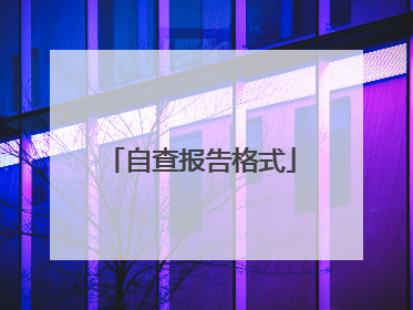 自查报告格式