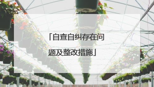 自查自纠存在问题及整改措施