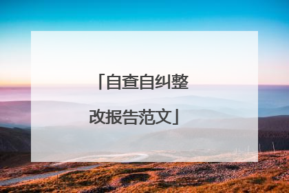 自查自纠整改报告范文