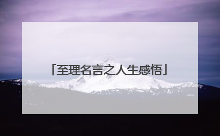 至理名言之人生感悟