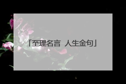 至理名言 人生金句
