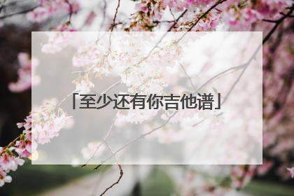 至少还有你吉他谱