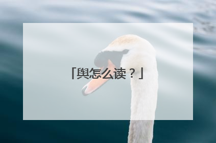 舆怎么读？