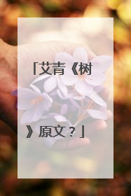 艾青《树》原文?