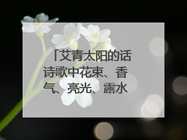 艾青太阳的话诗歌中花束、香气、亮光、露水、太阳代表的意义是什么?
