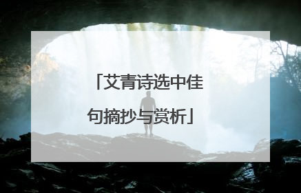 艾青诗选中佳句摘抄与赏析
