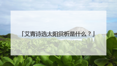 艾青诗选太阳赏析是什么?