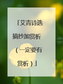 艾青诗选摘抄加赏析（一定要有赏析）