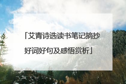 艾青诗选读书笔记摘抄好词好句及感悟赏析