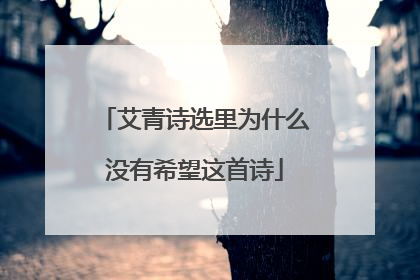 艾青诗选里为什么没有希望这首诗