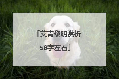 艾青黎明赏析50字左右