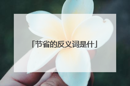 节省的反义词是什