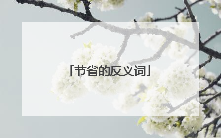 节省的反义词