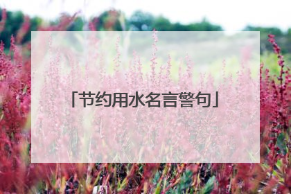 节约用水名言警句