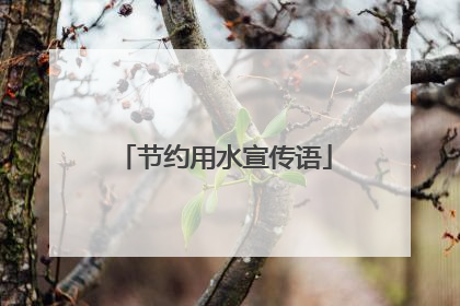 节约用水宣传语