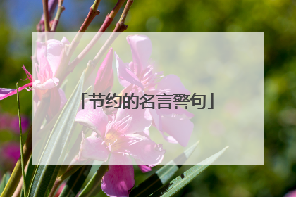 节约的名言警句