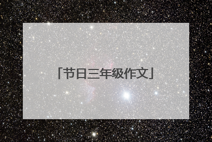 节日三年级作文