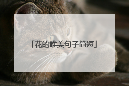 花的唯美句子简短