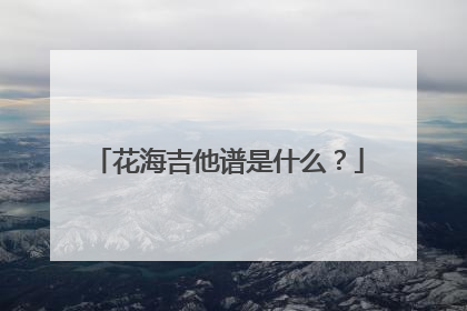 花海吉他谱是什么？