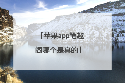 苹果app笔趣阁哪个是真的