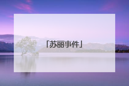 苏丽事件