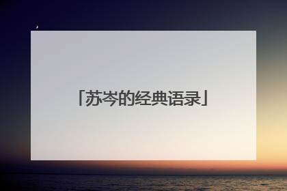 苏岑的经典语录