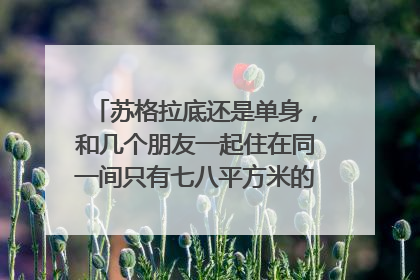 苏格拉底还是单身,和几个朋友一起住在同一间只有七八平方米的房子里``````速度!等待回答!!