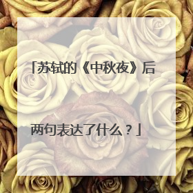 苏轼的《中秋夜》后两句表达了什么?