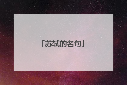 苏轼的名句