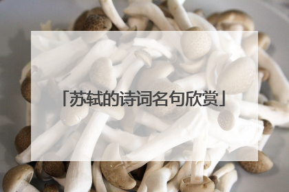 苏轼的诗词名句欣赏