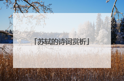 苏轼的诗词赏析