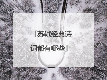 苏轼经典诗词都有哪些