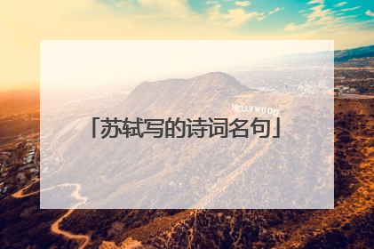 苏轼写的诗词名句