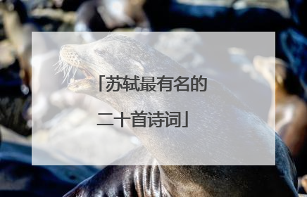 苏轼最有名的二十首诗词