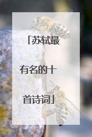 苏轼最有名的十首诗词