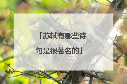 苏轼有哪些诗句是很著名的