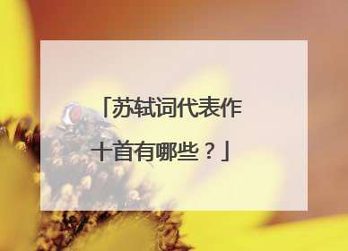 苏轼词代表作十首有哪些?