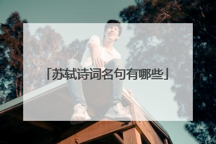 苏轼诗词名句有哪些