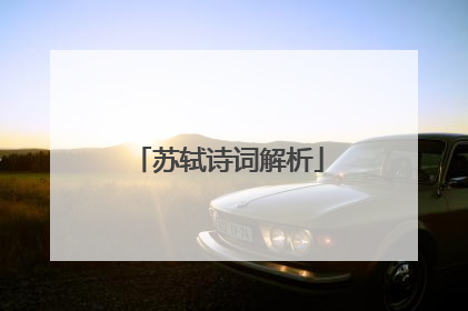 苏轼诗词解析